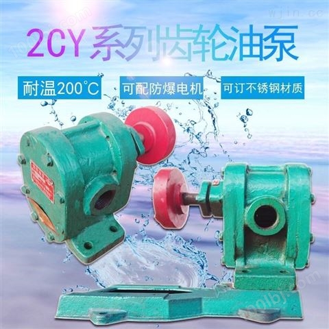 2CY系列耐温齿轮油泵导热油输送泵