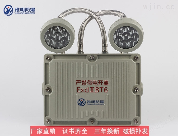 ZFZD-E4W5W6W-220VAC消防双头应急灯